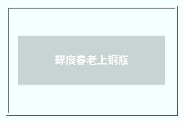 藓痕春老上铜瓶