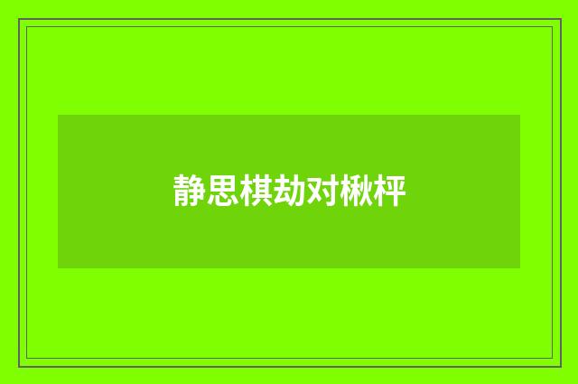 静思棋劫对楸枰