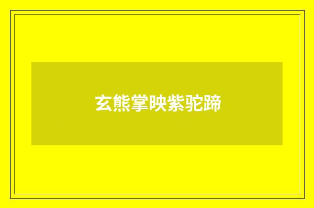 玄熊掌映紫驼蹄