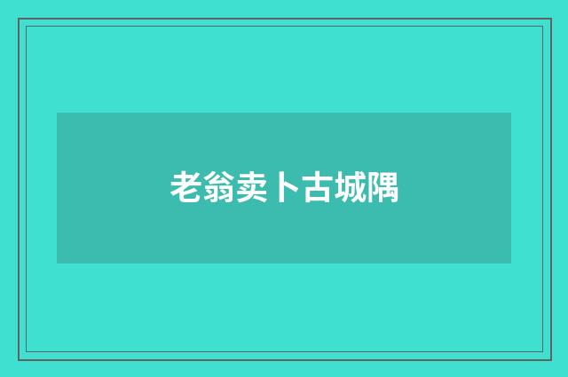 老翁卖卜古城隅