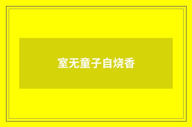 室无童子自烧香