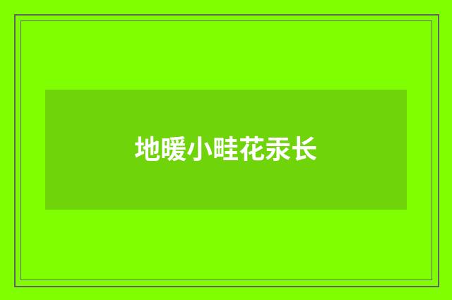 地暖小畦花汞长