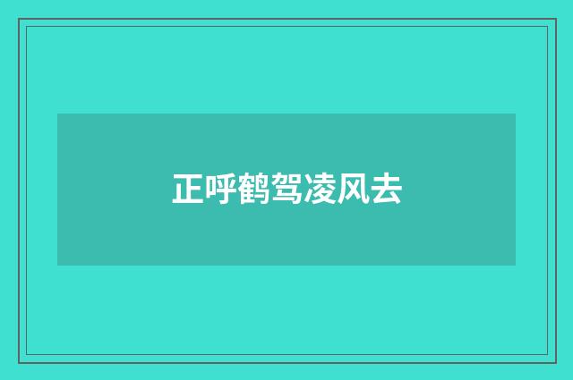 正呼鹤驾凌风去