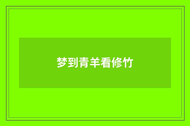 梦到青羊看修竹