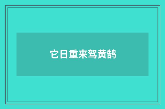 它日重来驾黄鹄