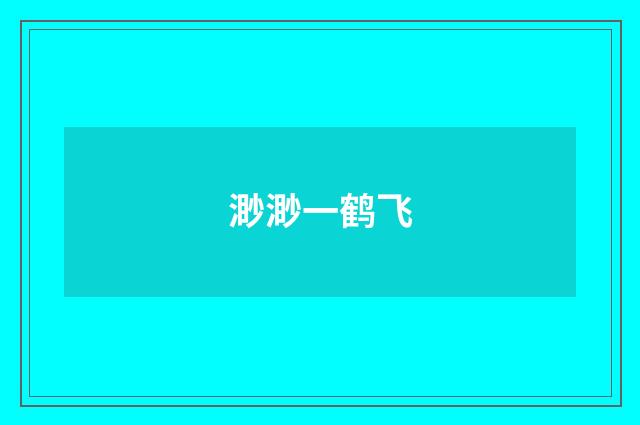 渺渺一鹤飞