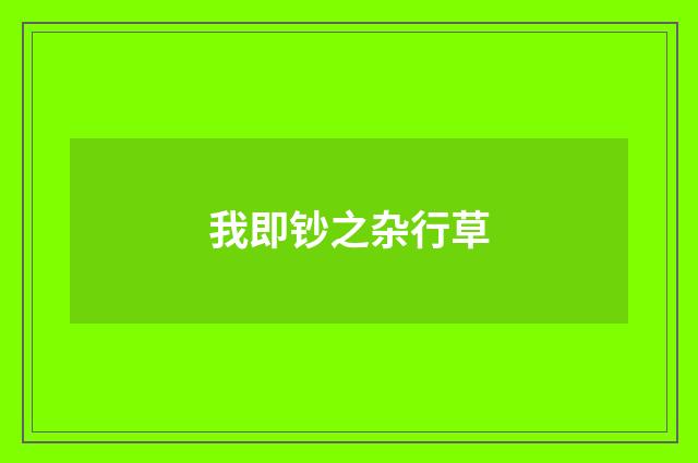 我即钞之杂行草