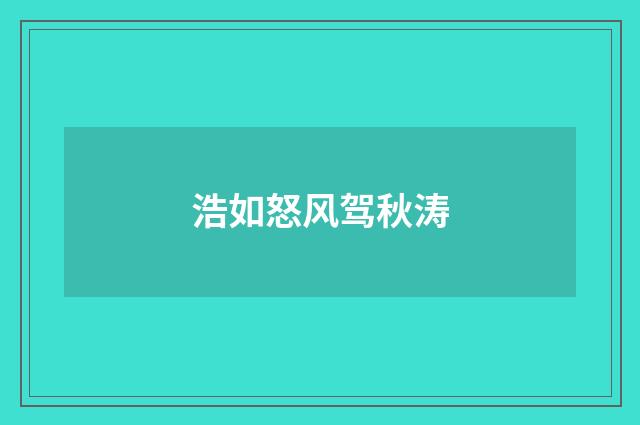 浩如怒风驾秋涛
