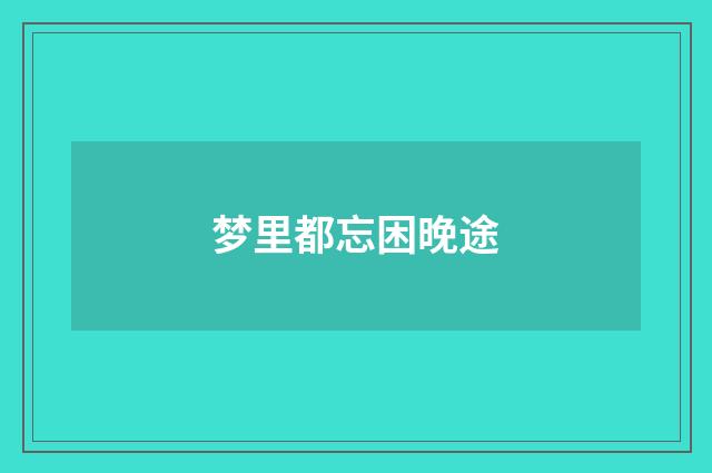 梦里都忘困晚途