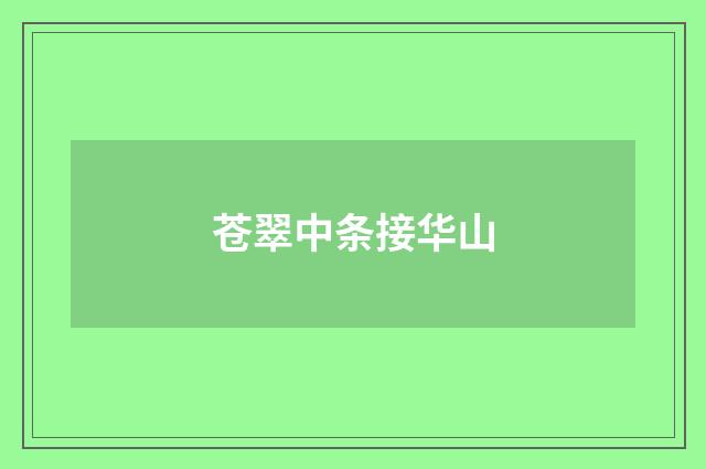 苍翠中条接华山