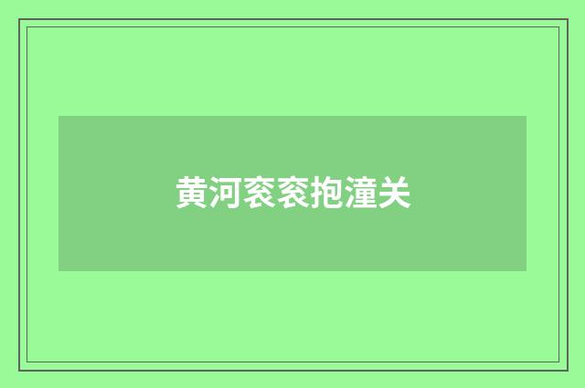 黄河衮衮抱潼关