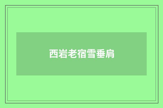 西岩老宿雪垂肩
