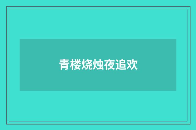 青楼烧烛夜追欢