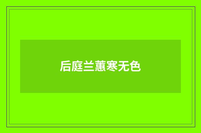 后庭兰蕙寒无色