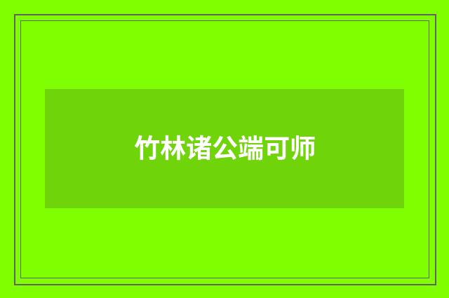 竹林诸公端可师
