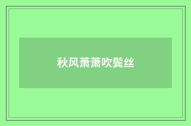 秋风萧萧吹鬓丝