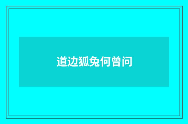 道边狐兔何曾问