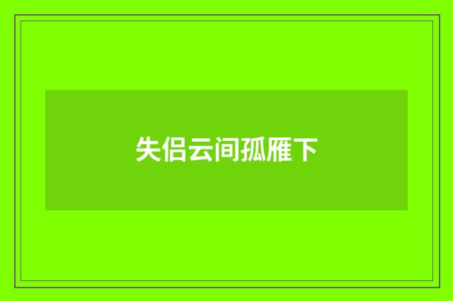 失侣云间孤雁下