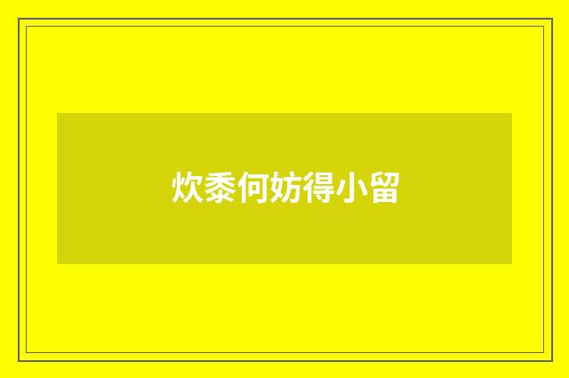 炊黍何妨得小留