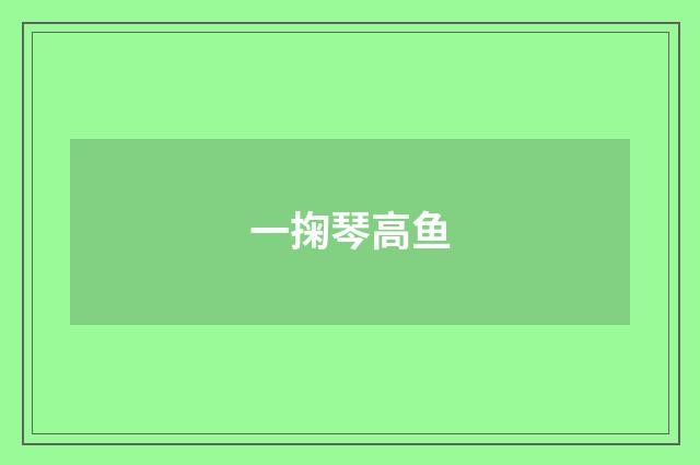 一掬琴高鱼