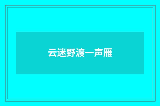 云迷野渡一声雁
