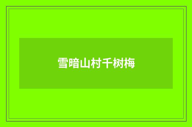 雪暗山村千树梅