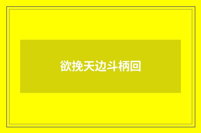 欲挽天边斗柄回