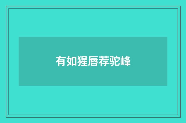 有如猩唇荐驼峰