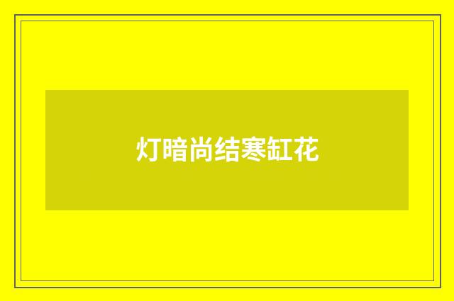 灯暗尚结寒缸花