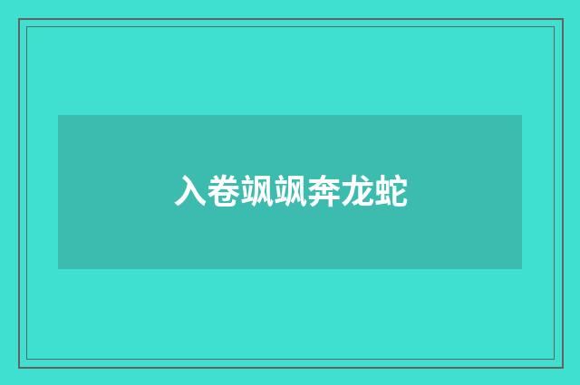 入卷飒飒奔龙蛇