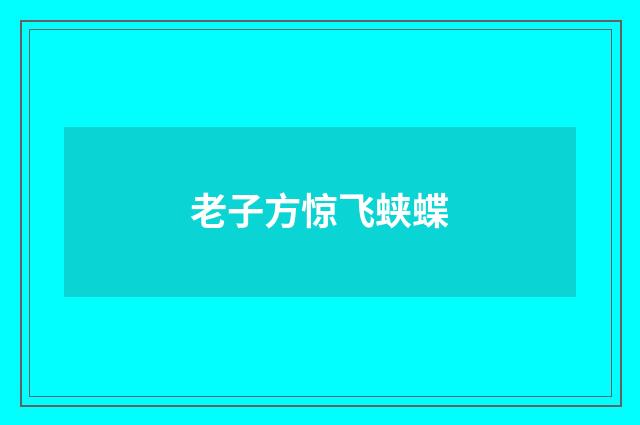 老子方惊飞蛱蝶