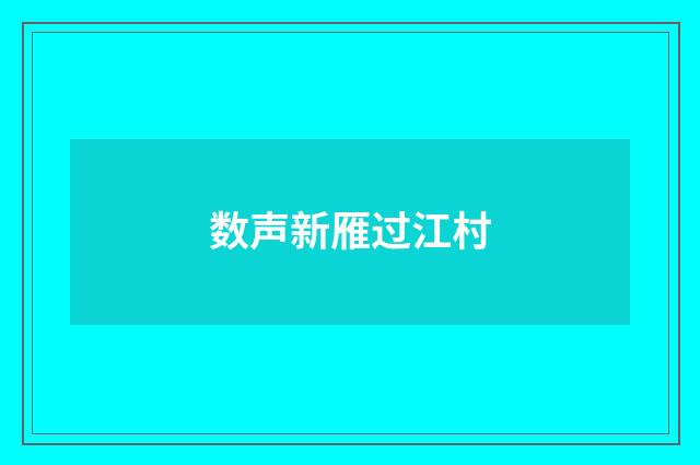 数声新雁过江村