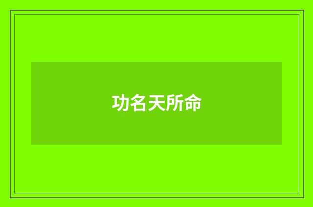 功名天所命