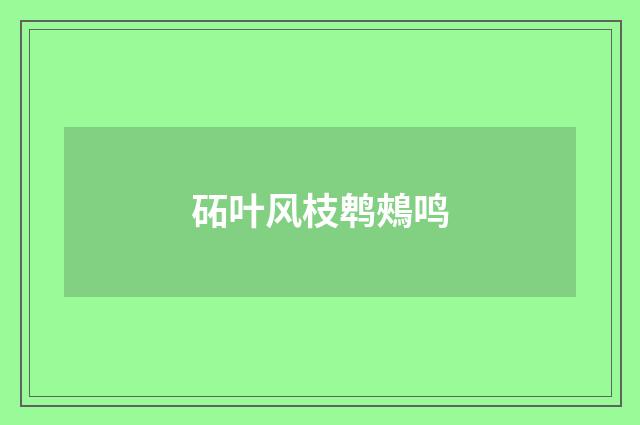 砳叶风枝鹎鵊鸣