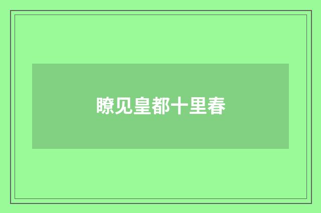 瞭见皇都十里春