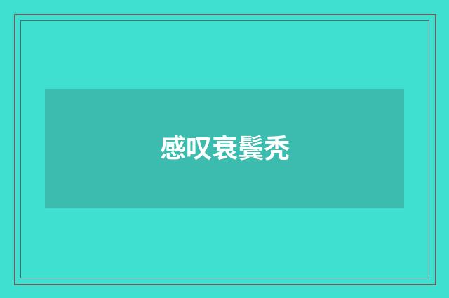 感叹衰鬓秃