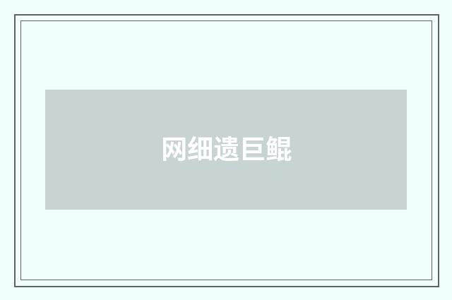 网细遗巨鲲