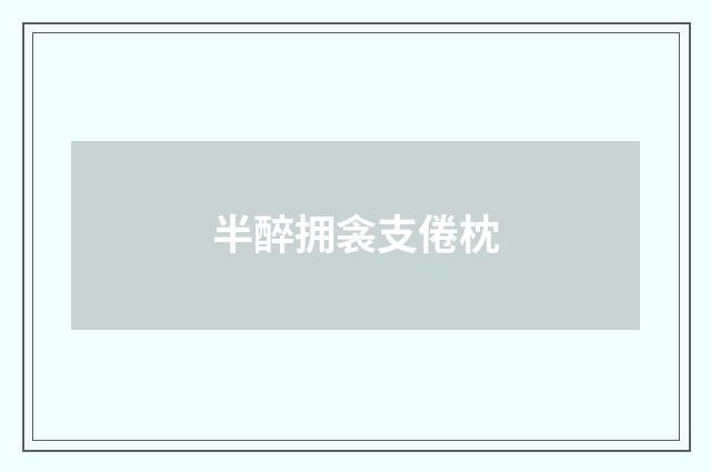 半醉拥衾支倦枕