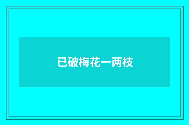 已破梅花一两枝