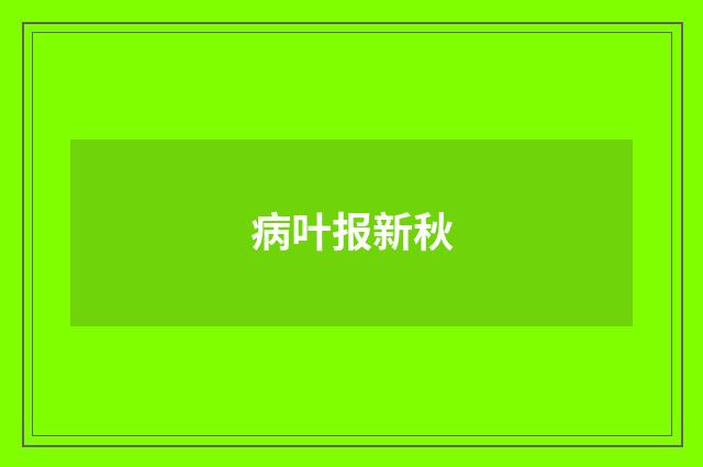 病叶报新秋