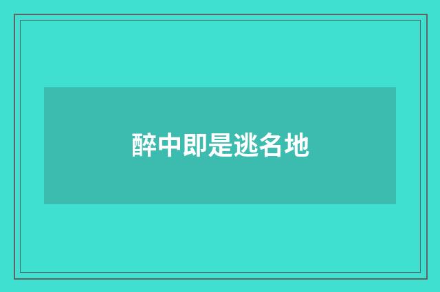 醉中即是逃名地