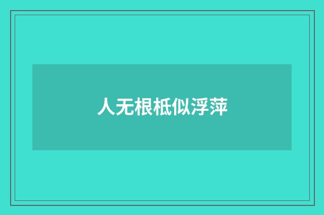 人无根柢似浮萍
