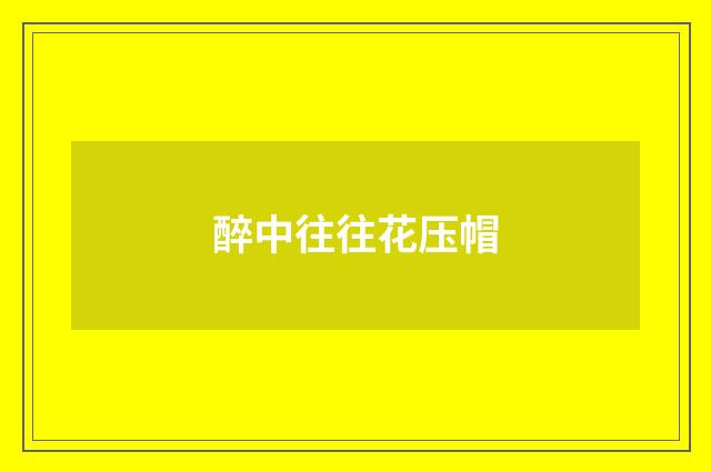 醉中往往花压帽