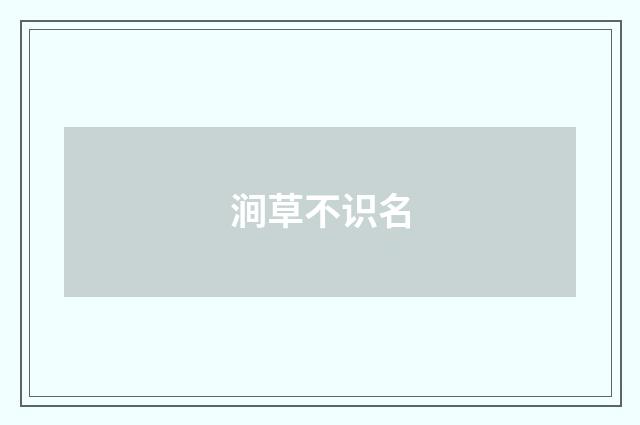 涧草不识名
