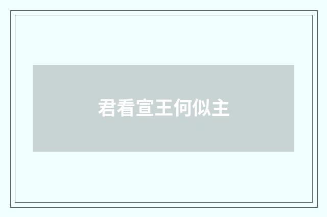 君看宣王何似主