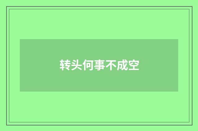 转头何事不成空