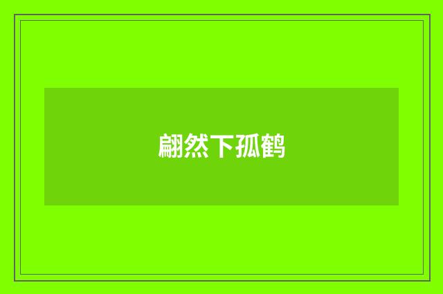 翩然下孤鹤