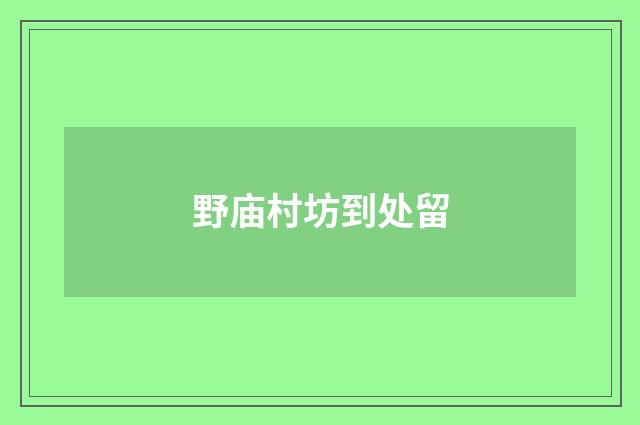 野庙村坊到处留