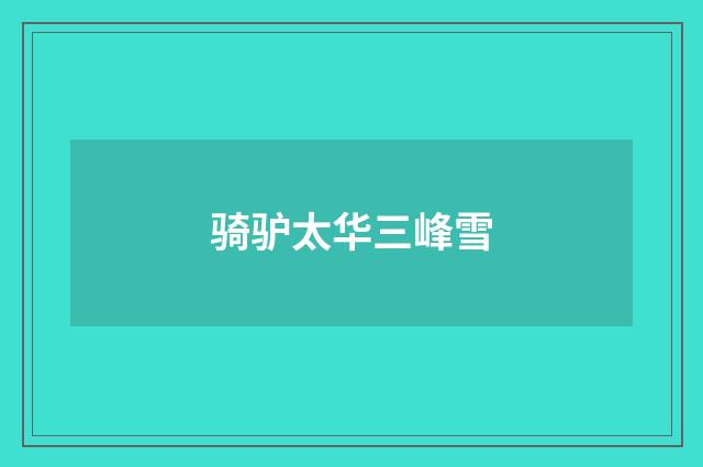 骑驴太华三峰雪