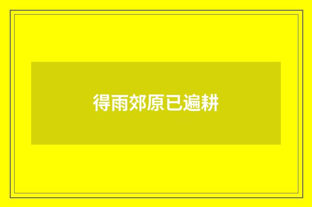 得雨郊原已遍耕